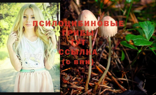 кокс Касимов