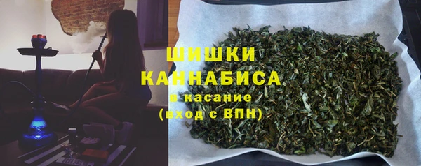кокс Касимов