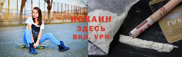 кокс Касимов